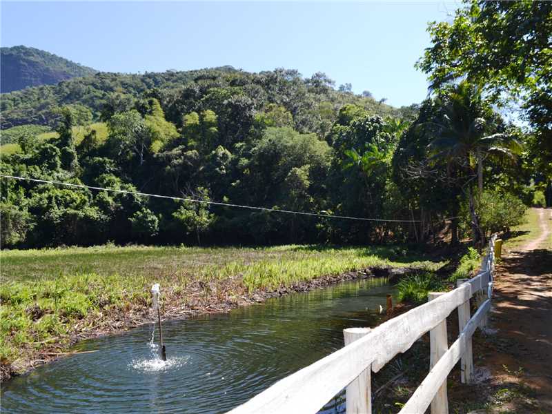 Parque Natural Municipal